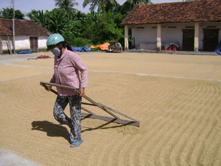 Bài 6: Tiêu thụ nông sản qua hợp tác xã, tại sao không?