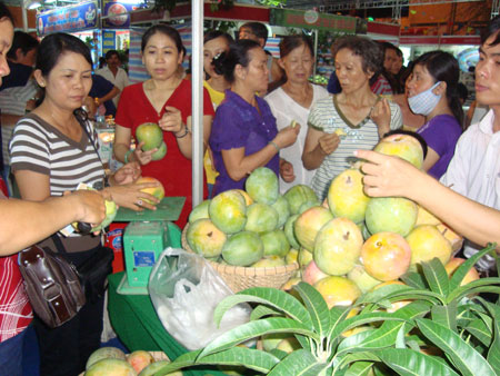 Bài cuối: Cần vai trò của “nhạc trưởng”