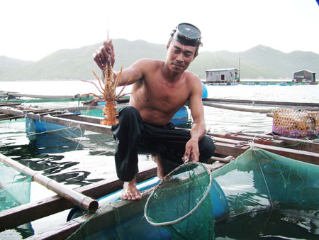 Sản lượng khai thác thủy, hải sản đạt 4.137 tấn