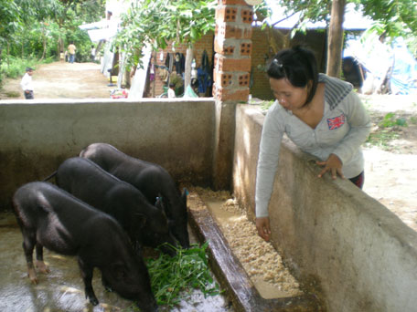 Triển vọng nâng cao thu nhập cho người dân