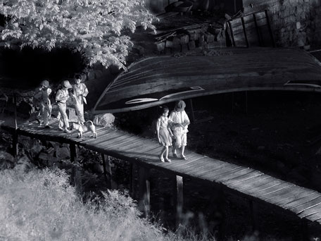 Chân thực và giàu tính nghệ thuật