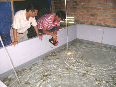 Góp phần tăng thu nhập cho các hộ lên 30%