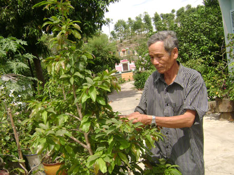 Có sức người, sỏi đá cũng thành… mía