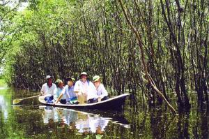 5 đối tượng phải trả tiền dịch vụ môi trường rừng