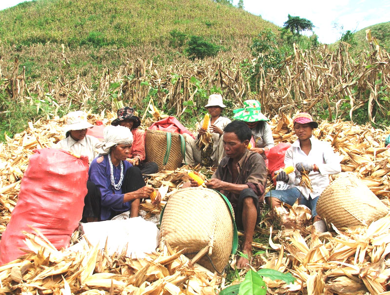 Cần một hướng đi bền vững