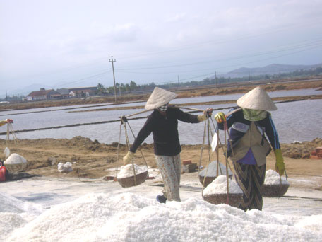 Giá muối dao động từ 450 - 700 đồng/kg