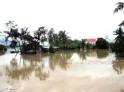 Công tác dự báo chính xác, công tác triển khai phòng tránh tương đối đồng bộ và nhịp nhàng