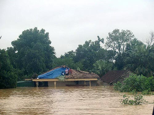 Loại bỏ 38 công trình thủy điện và hơn nữa...