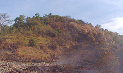 Cơ quan chức năng nên xem xét lại vụ việc