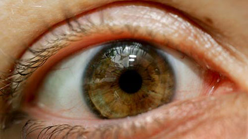 Công nghệ nhận diện "vân mắt"