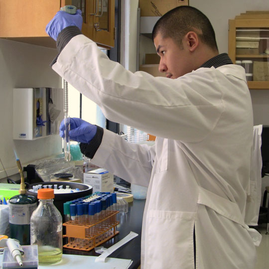 Nghiên cứu khả năng phát sáng của vi khuẩn Vibrio fischeri. (Ảnh: Newscenter).