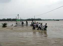 Triển khai phương án chống lũ cấp báo động