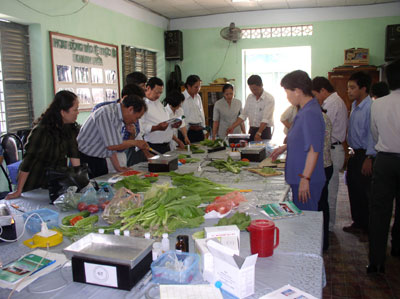 Triển khai 6 lớp huấn luyện IPM/FAO