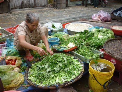 Rau xanh khan hiếm, giá tăng