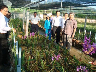 Nông nghiệp đô thị - Đồng hành cùng đô thị tầm quốc gia