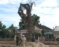 Miễn phí xây dựng