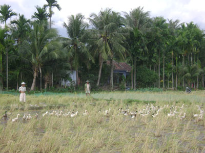 Tạo tiền đề sử dụng hiệu quả kinh phí ngoài ngân sách