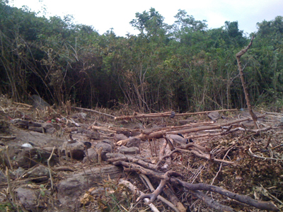 Tạm đình chỉ công tác Trưởng Công an huyện Khánh Sơn