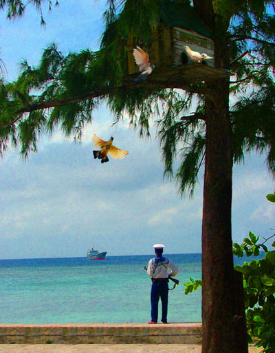 Trường Sa - Từ một gốc nhìn vui