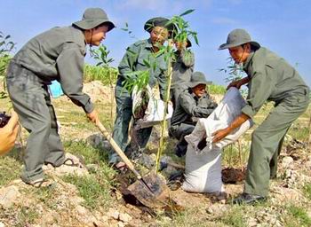 Đội viên TNXP được tạm hoãn nhập ngũ trong thời bình khi đang làm nhiệm việc ở vùng khó khăn. Ảnh minh họa.