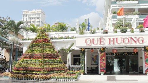 Rực rỡ sắc hoa dịp Tết Nguyên đán