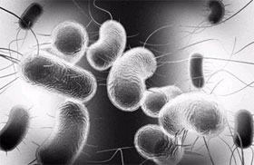 Trẻ dưới 2 tuổi không nên tắm hồ bơi