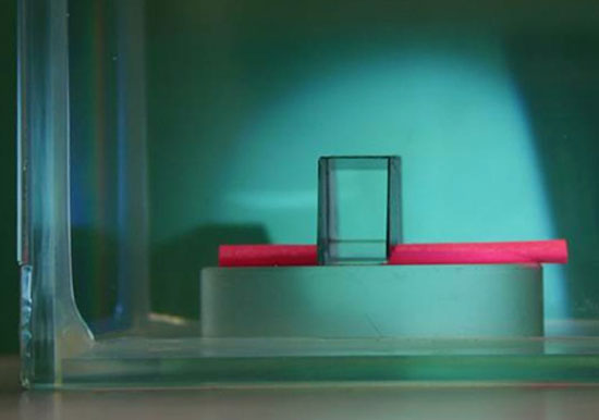 Áo tàng hình thành hiện thực