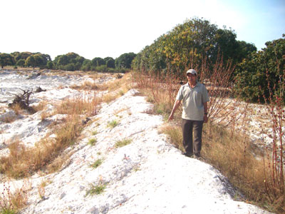 Mượn cớ cải tạo đất để khai thác cát trái phép