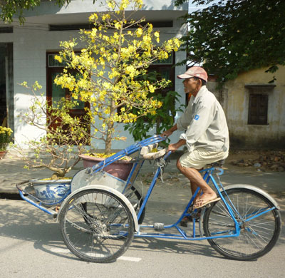 Giá công cao, nhà vườn nhận ít