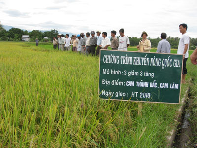 Mô hình “3 giảm 3 tăng” đem lại lợi nhuận hơn 4 triệu đồng/ha