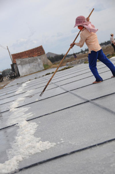 Sản xuất muối sạch - hướng đi tất yếu của diêm dân