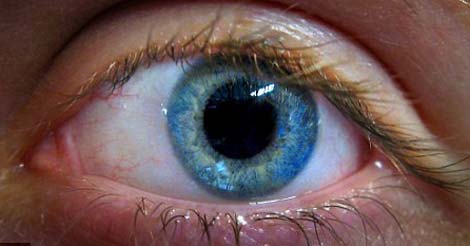 Máy tính nhỏ nhất thế giới hiện mới được ứng dụng như thiết bị kiểm tra nhãn áp,  cấy vào mắt người. Ảnh: PA.