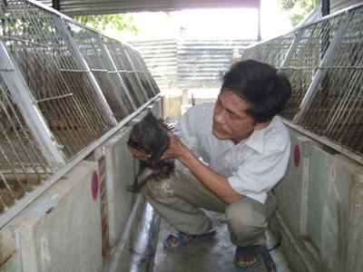 Làm giàu nhờ nuôi nhím