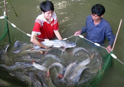 Thủ tướng phê duyệt 40.000 tỉ đồng phát triển thủy sản