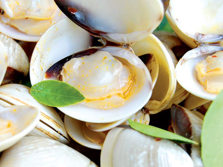 Món ăn: Ngao hấp sa tế, lá chanh