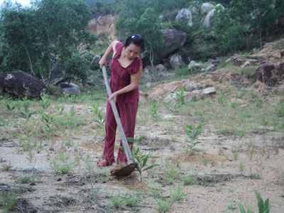 Góp phần xóa đói giảm nghèo cho người dân vùng cao