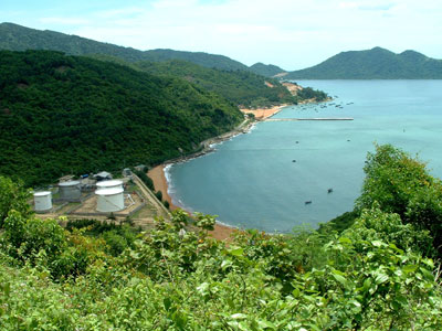 Rộn ràng và hy vọng