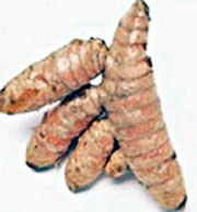 Củ nghệ giúp ngừa viêm gan