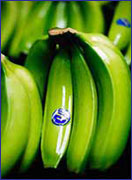 Mỗi ngày ăn 3 quả chuối ngăn ngừa tai biến mạch máu não