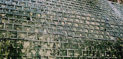 Bài 1: “Cái sảy nảy cái ung”!