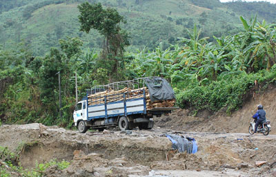 Rừng phòng hộ dần biến mất