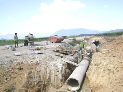 Bàn giao dự án xây dựng vùng nguyên liệu mía