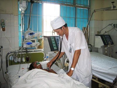 Báo động tình trạng ngộ độc cá nóc