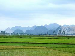 Rút ngắn thời gian thực hiện thủ tục giao đất nông nghiệp