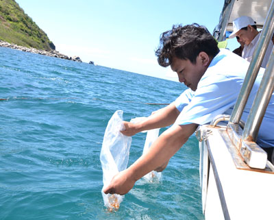 Thả cá để tạo nguồn lợi tại vùng lõi Hòn Mun