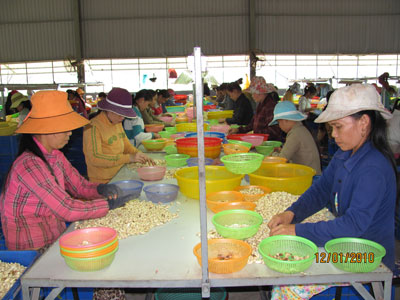 “Phao cứu sinh” cho lao động bị mất việc làm