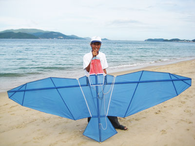 Những cánh diều trên bầu trời khiến Nha Trang thêm quyến rũ