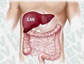 Chưa có vắc-xin phòng bệnh viêm gan siêu vi C