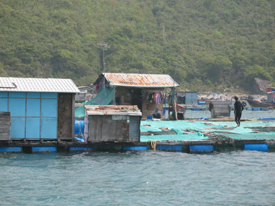 Cần hướng tới mục đích bền vững