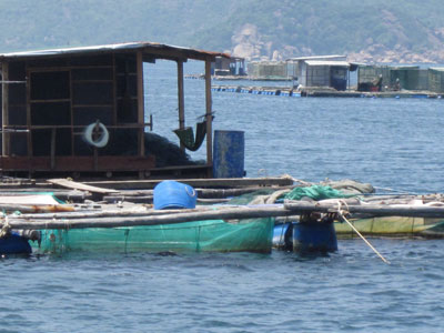 Đổi thay ở xã đảo Cam Bình